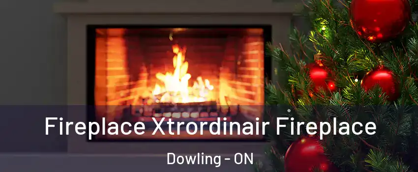 Fireplace Xtrordinair Fireplace Dowling - ON