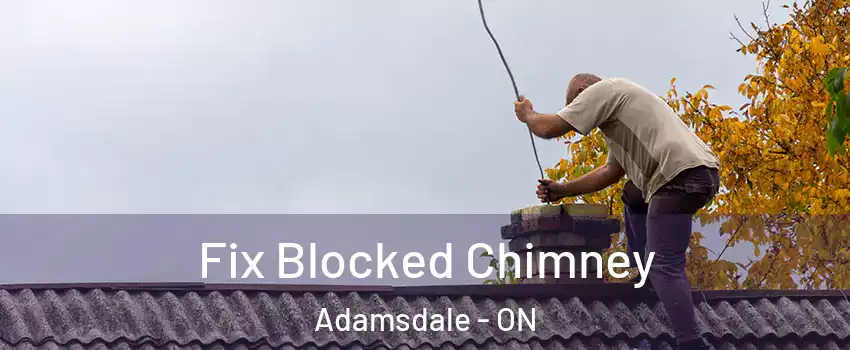  Fix Blocked Chimney Adamsdale - ON