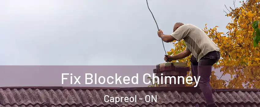  Fix Blocked Chimney Capreol - ON
