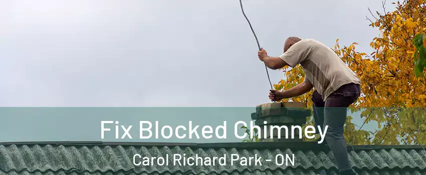  Fix Blocked Chimney Carol Richard Park - ON