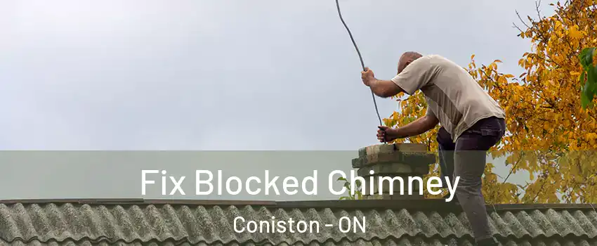  Fix Blocked Chimney Coniston - ON