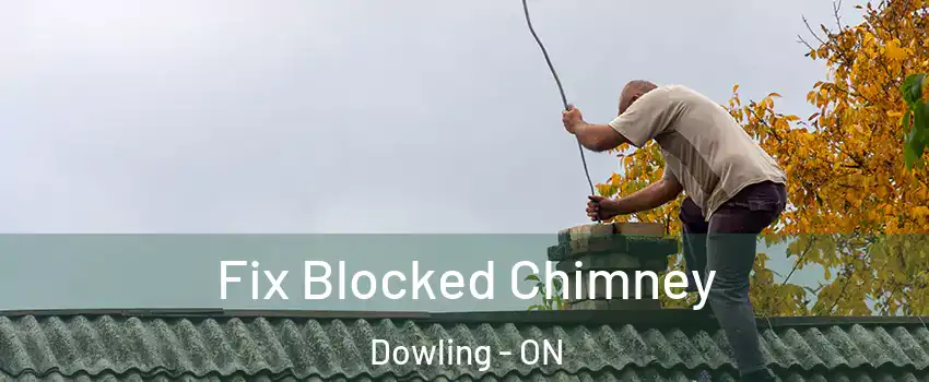  Fix Blocked Chimney Dowling - ON