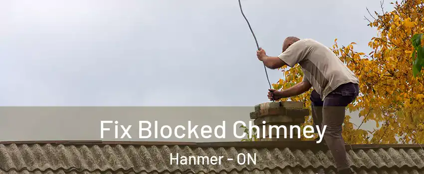  Fix Blocked Chimney Hanmer - ON