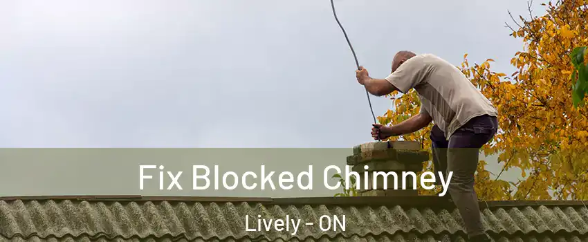  Fix Blocked Chimney Lively - ON