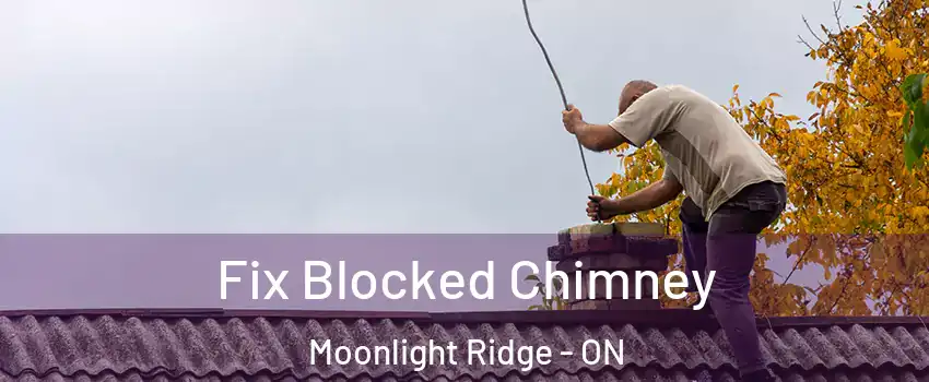  Fix Blocked Chimney Moonlight Ridge - ON