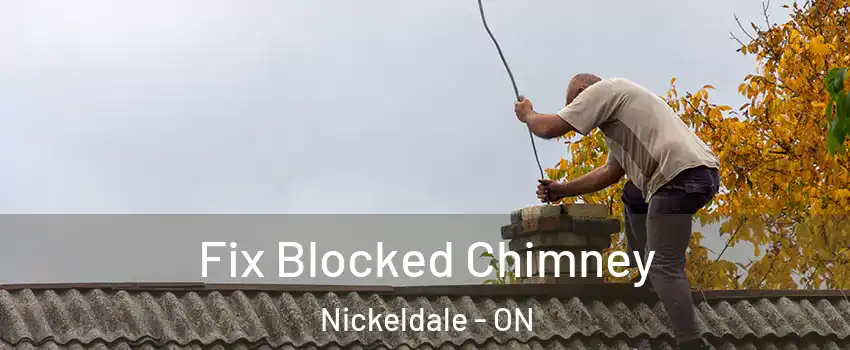  Fix Blocked Chimney Nickeldale - ON