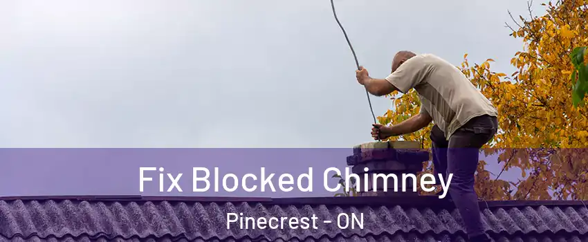  Fix Blocked Chimney Pinecrest - ON