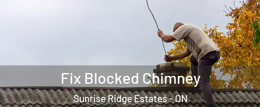  Fix Blocked Chimney Sunrise Ridge Estates - ON