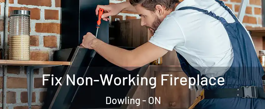  Fix Non-Working Fireplace Dowling - ON