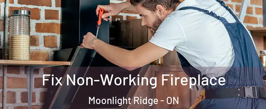 Fix Non-Working Fireplace Moonlight Ridge - ON