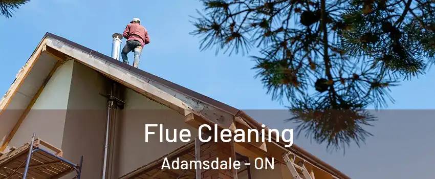  Flue Cleaning Adamsdale - ON