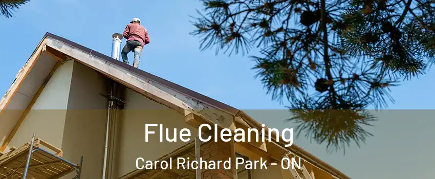  Flue Cleaning Carol Richard Park - ON