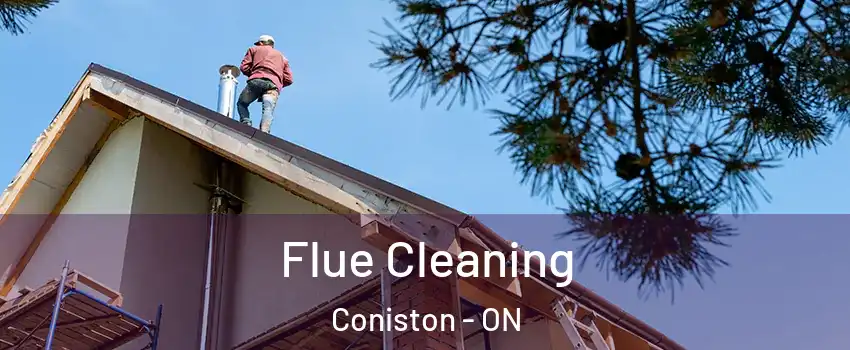  Flue Cleaning Coniston - ON