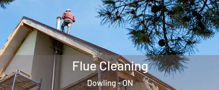  Flue Cleaning Dowling - ON