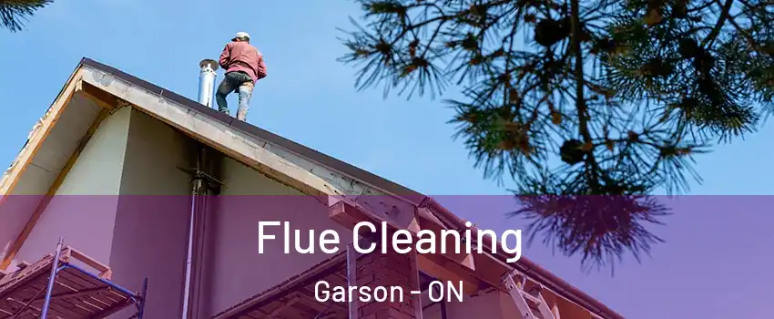  Flue Cleaning Garson - ON