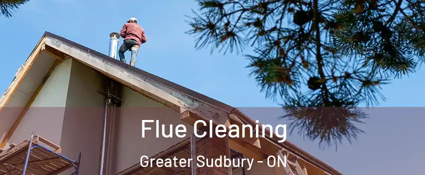  Flue Cleaning Greater Sudbury - ON