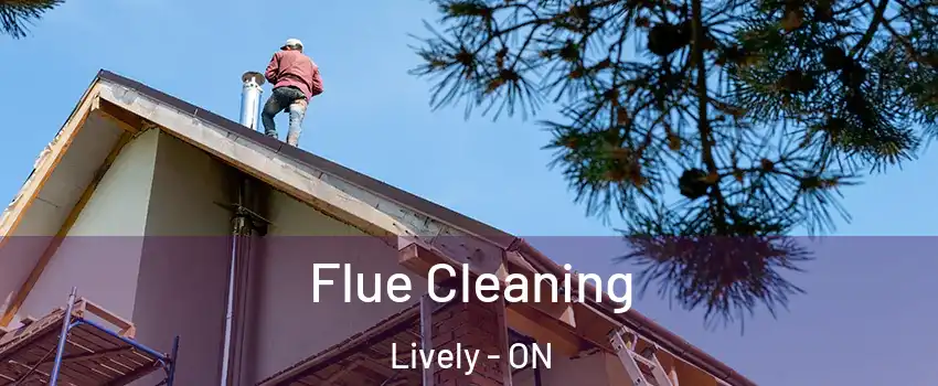  Flue Cleaning Lively - ON