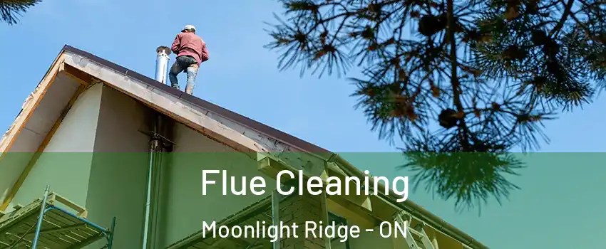  Flue Cleaning Moonlight Ridge - ON