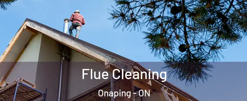  Flue Cleaning Onaping - ON