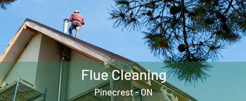  Flue Cleaning Pinecrest - ON
