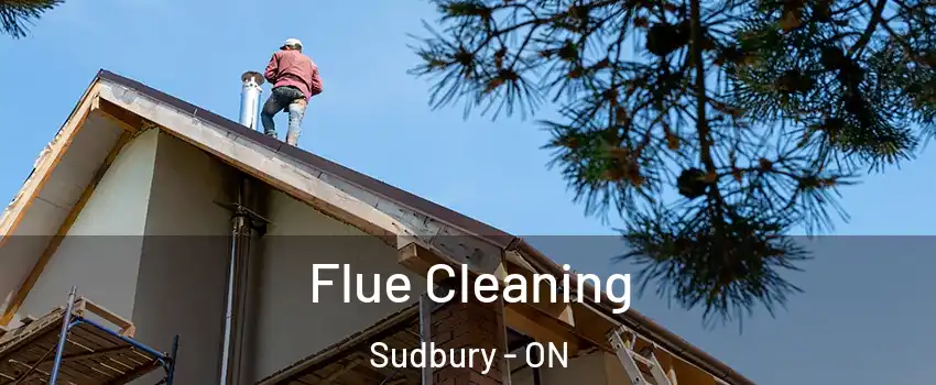  Flue Cleaning Sudbury - ON