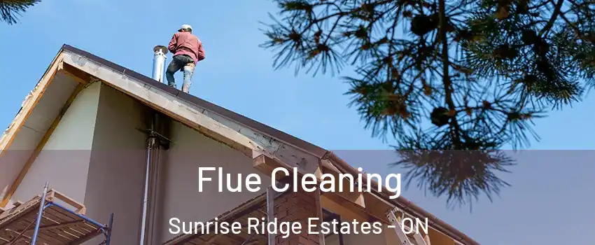  Flue Cleaning Sunrise Ridge Estates - ON