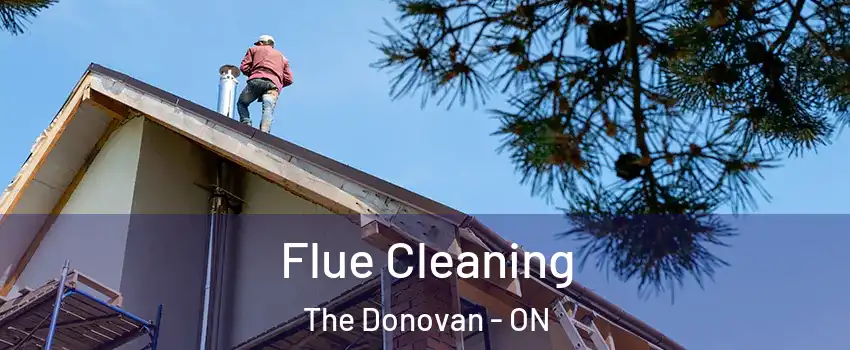  Flue Cleaning The Donovan - ON