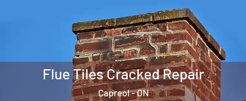  Flue Tiles Cracked Repair Capreol - ON