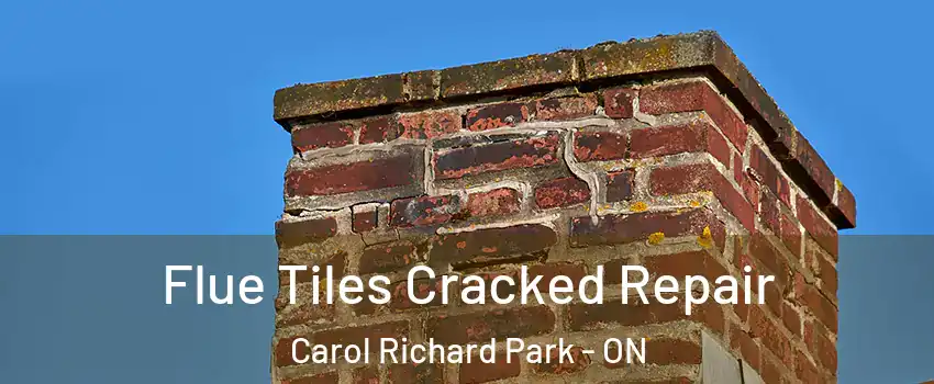  Flue Tiles Cracked Repair Carol Richard Park - ON