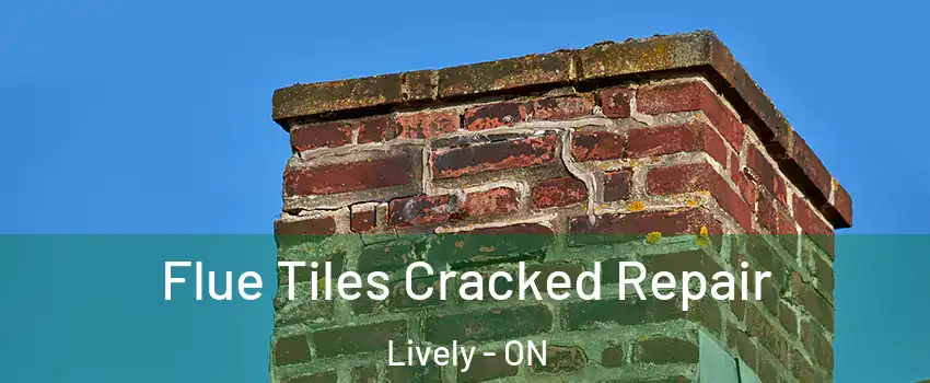  Flue Tiles Cracked Repair Lively - ON