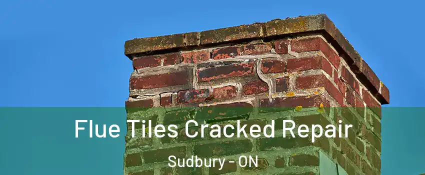  Flue Tiles Cracked Repair Sudbury - ON