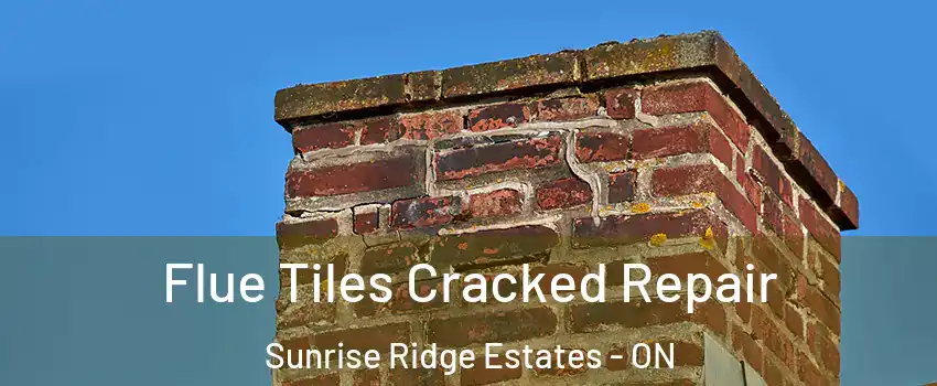  Flue Tiles Cracked Repair Sunrise Ridge Estates - ON