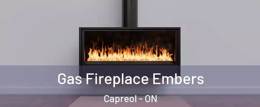  Gas Fireplace Embers Capreol - ON