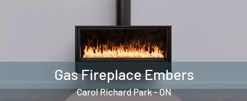  Gas Fireplace Embers Carol Richard Park - ON