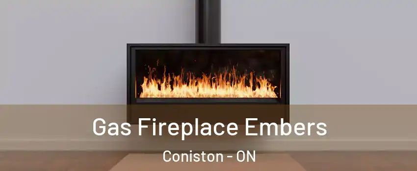  Gas Fireplace Embers Coniston - ON