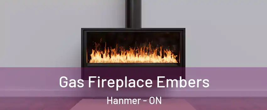  Gas Fireplace Embers Hanmer - ON