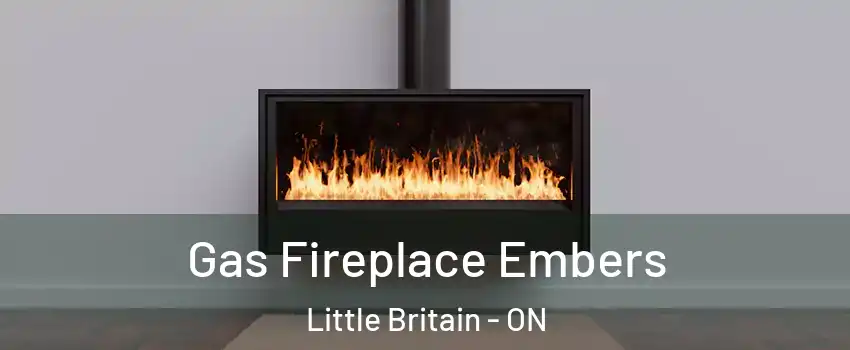  Gas Fireplace Embers Little Britain - ON