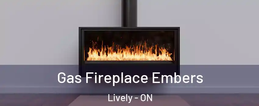  Gas Fireplace Embers Lively - ON