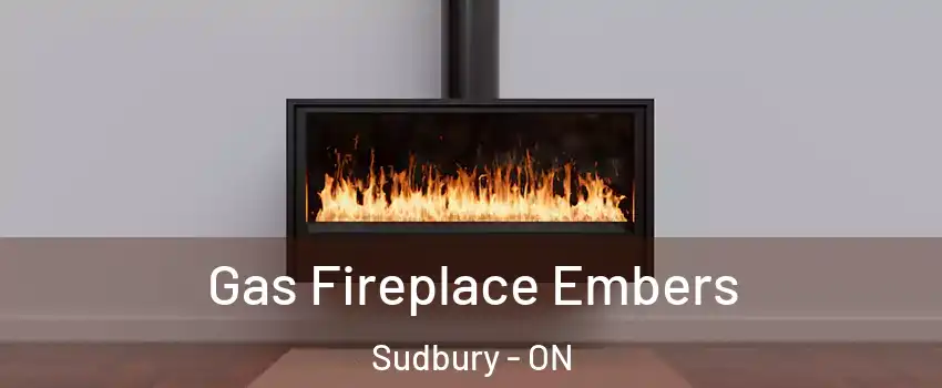  Gas Fireplace Embers Sudbury - ON
