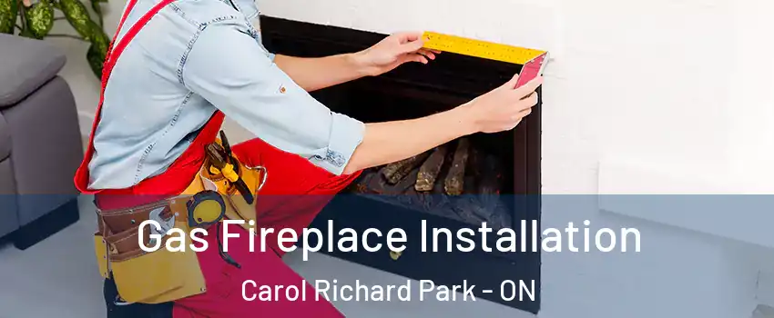  Gas Fireplace Installation Carol Richard Park - ON