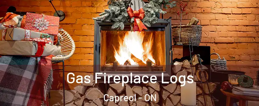  Gas Fireplace Logs Capreol - ON