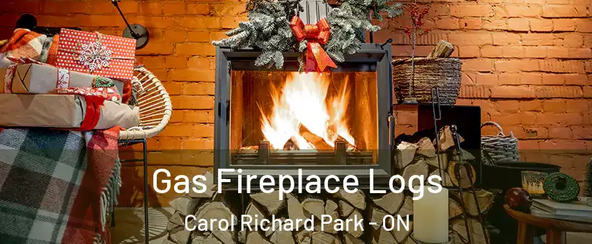  Gas Fireplace Logs Carol Richard Park - ON