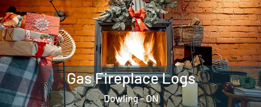  Gas Fireplace Logs Dowling - ON