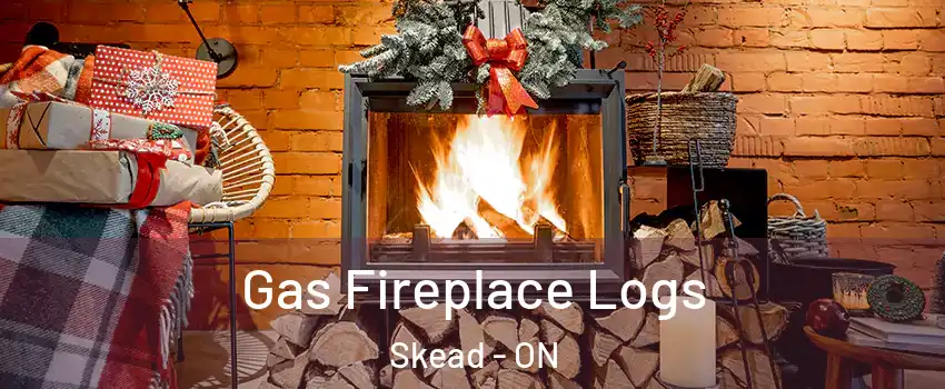  Gas Fireplace Logs Skead - ON