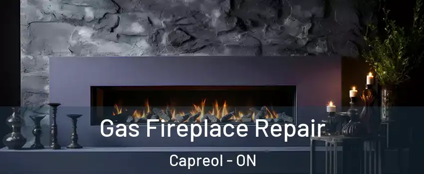  Gas Fireplace Repair Capreol - ON