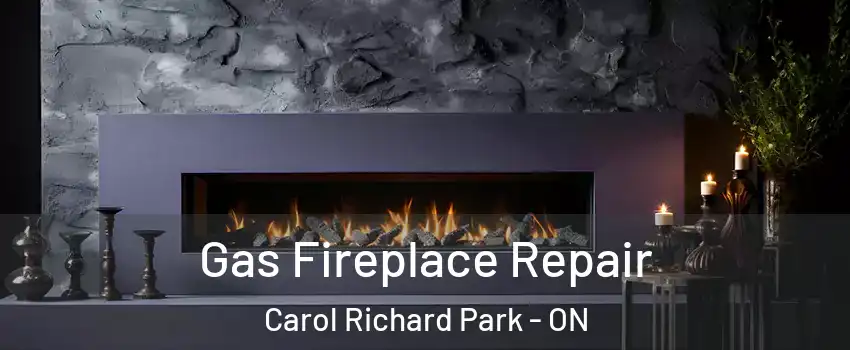  Gas Fireplace Repair Carol Richard Park - ON