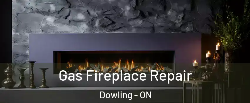  Gas Fireplace Repair Dowling - ON