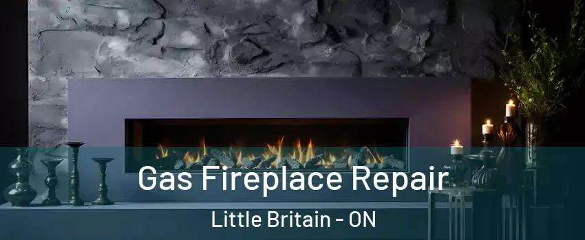  Gas Fireplace Repair Little Britain - ON