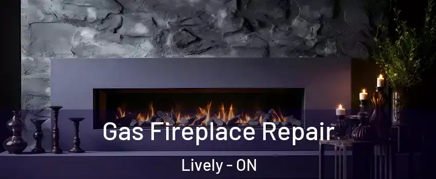 Gas Fireplace Repair Lively - ON