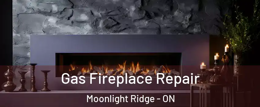  Gas Fireplace Repair Moonlight Ridge - ON